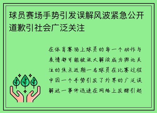 球员赛场手势引发误解风波紧急公开道歉引社会广泛关注